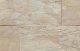 ������� ��������� Visiogrande, Indischer Buntschie 25720, ������� 8 ��, 32 ����� Classen (�������)